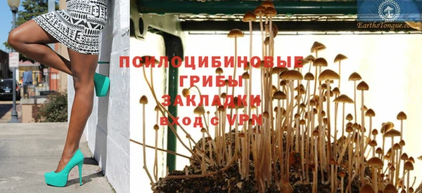 дмт Дмитровск